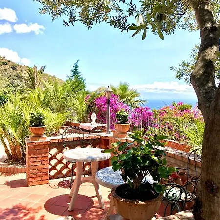 Zen * טאורמינה